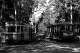 R1 & N Class Trams