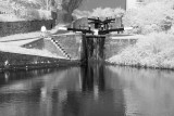 Stourbridge Canal. #9
