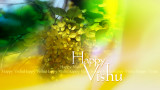 Happy Vishu_Our New Year