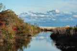 Scenery Chincoteague NWR ,Va