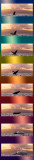 Humpback Whale - Breach Whale Sequence #2