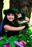 Hula - 2010
