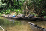 Boats for palm wine
