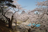 Tsuruga_jo park, Aizu