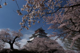 Tsuruga_jo park, Aizu