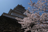 Tsuruga_jo park, Aizu