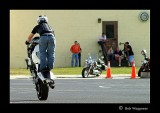 Stunt Riders