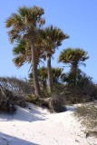 Sand Dunes