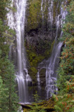 Lower Proxy Falls II