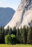 Ahwahnee Meadow