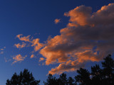 6-19-10_SUNSET 61910_0012.tif