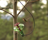 8-23-10_HUMMING BIRD_0003.tif