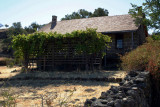 Backyard at Wildermuth Homestead