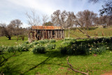 Ranchers Line Cabin 