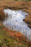 _MG_3163.jpg