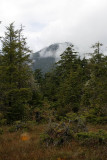 _MG_3206.jpg