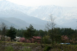 _MG_3755.jpg