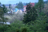 _MG_3763.jpg