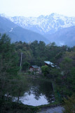 _MG_3766.jpg
