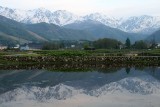 _MG_3776.jpg