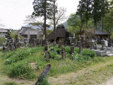 RIMG0141.jpg
