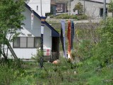 RIMG0192.jpg