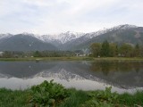 RIMG0308.jpg