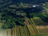 RIMG0569.jpg
