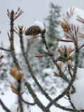 IMG_8521.jpg