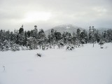 IMG_8534.jpg