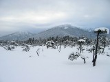 IMG_8538.jpg