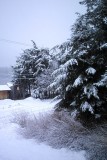 Winter Returns