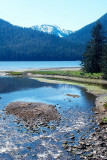 Twin Creek flowing into the Narrows