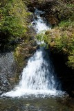 Waterfall along Mitkof Highway