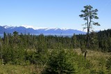 Muskeg and Frederick Sound