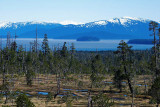 Muskeg, Frederick Sound, mainland