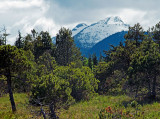 Muskeg and Unknown Mountain