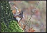 IMG_9693cn.jpg