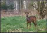 IMG_0778cn.jpg