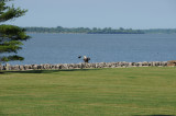 Red Wing has Eagle Wondering