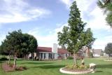 Arlene & Craig Landscape