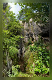 20090719_004.jpg