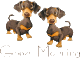 Dog 3.gif