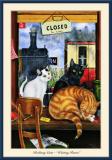 Railway Cats - Waiting Room