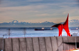 Calders Eagle and the Olympic Mountains