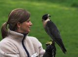 Falcon and Friend