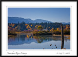 Cowichan River Estuary.