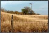 Windmills plenty in Kansas