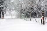 Horse Carral Fence