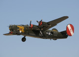 Consolidated B-24 Liberator ( NX224J )